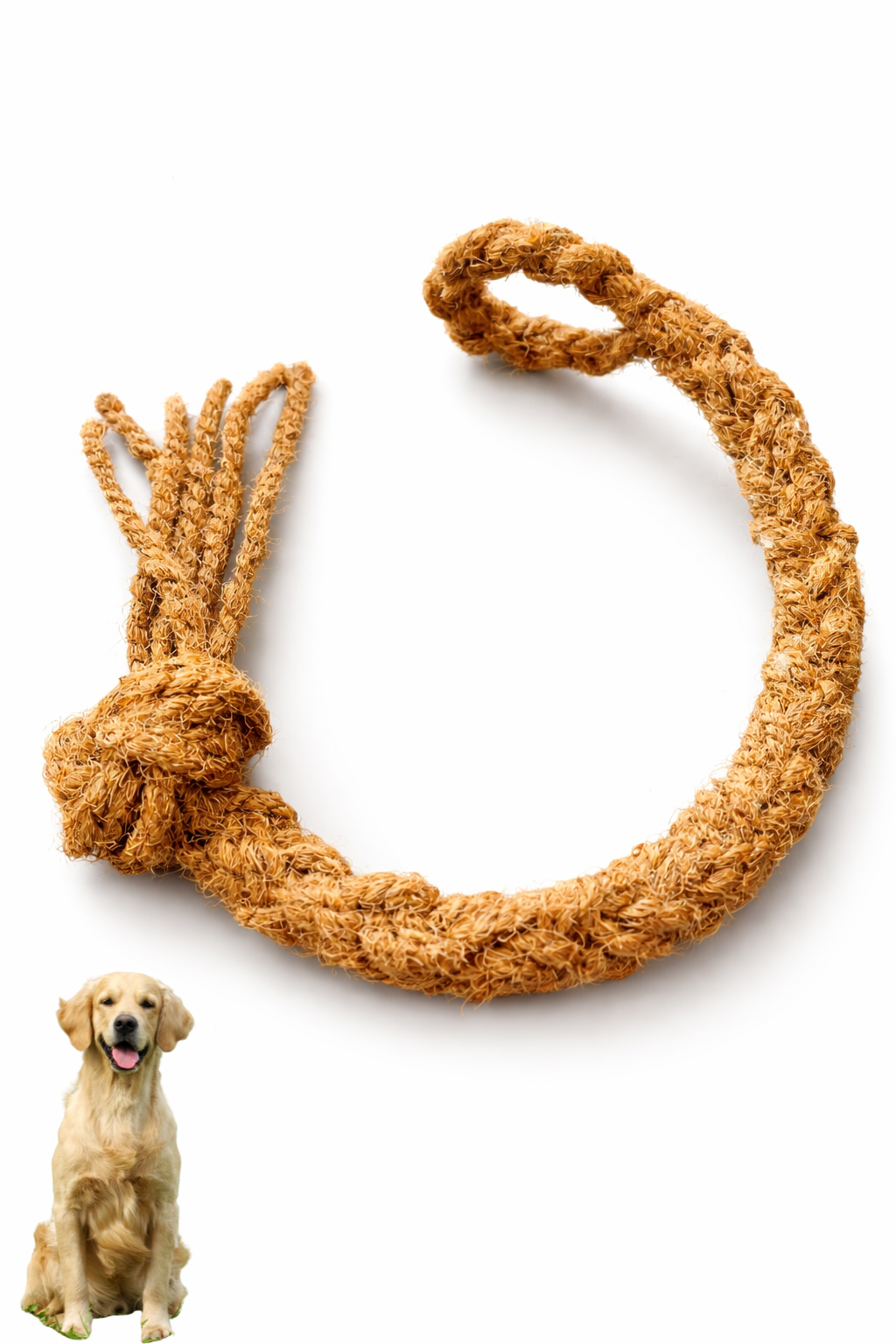 Play & Rotate Dog Toy Bundle