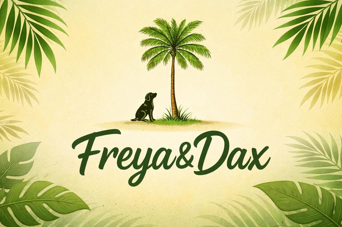 Eco-friendly dog toys made from natural coconut husk by Freya & Dax