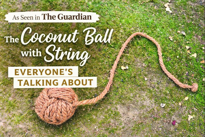 The Toy Everyone’s Talking About: Why Dogs (and Their Humans) Love Our Coconut Ball on a String