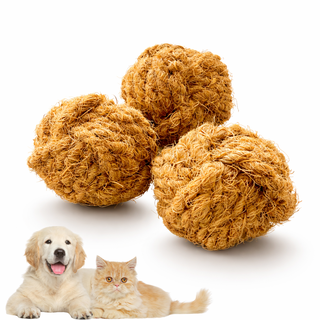 Eco-friendly dog toy bundle featuring small coconut husk chew balls designed for natural chewing and enrichment by Freya & Dax
